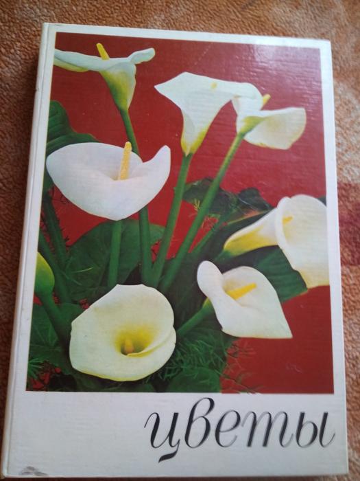 Книга Цветы, Комнатные растения и декоративноцветущие кустар