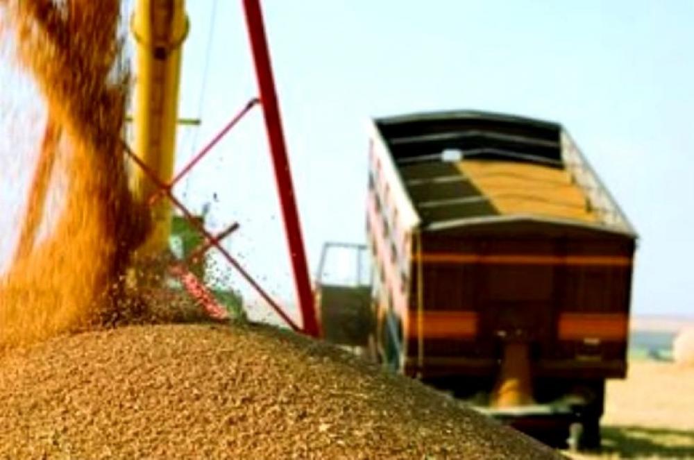 Перевозка зерновых по Украине