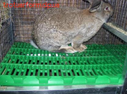 Продам пластикові підлоги для кроликів