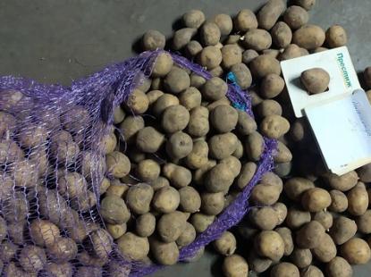 Продам картоплю власного виробництва.