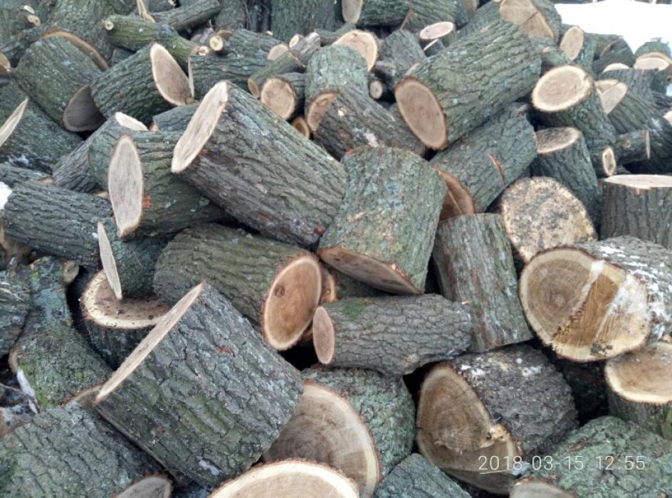 Продам дрова в любых количествах 