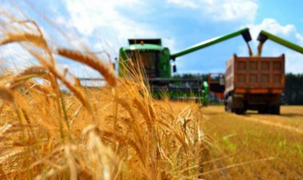 Перевозки зерна и зерновых грузов по Украине