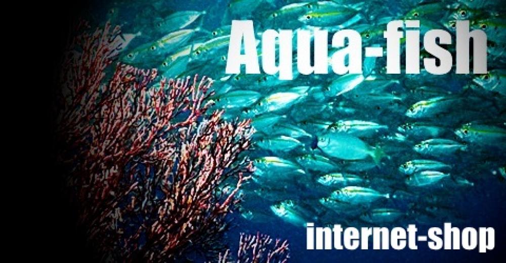 Интернет-магазин *Aqua-fish*