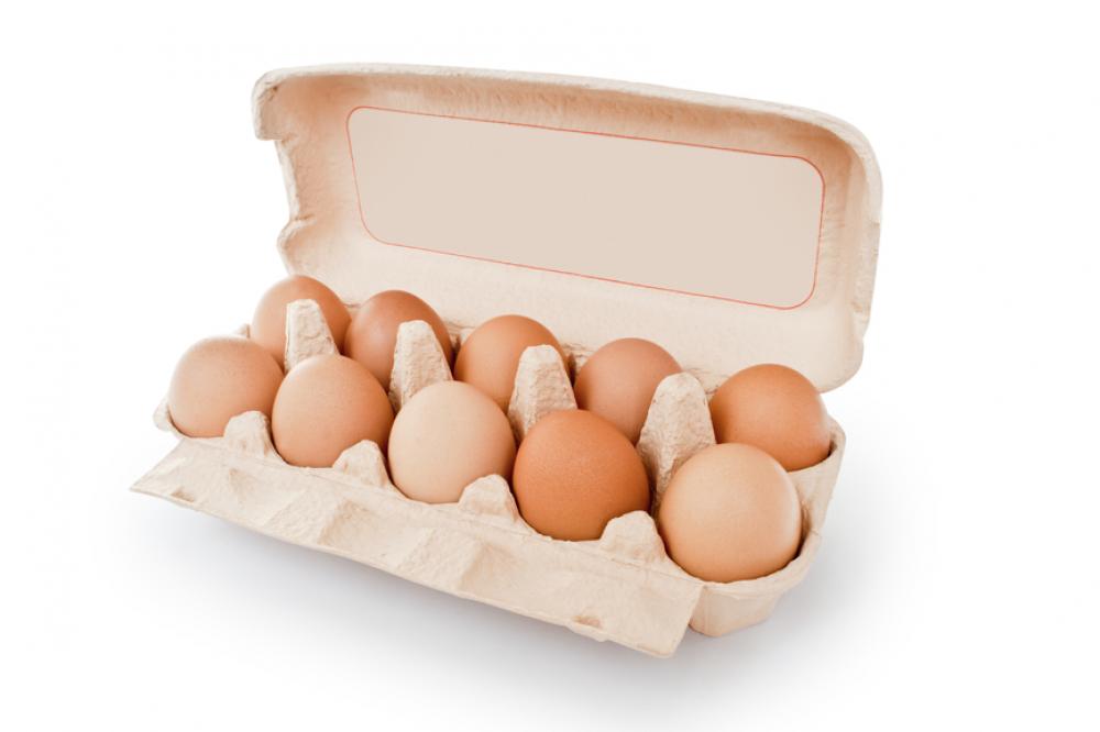 Яйцо куриное мелким и крупным оптом Днепр