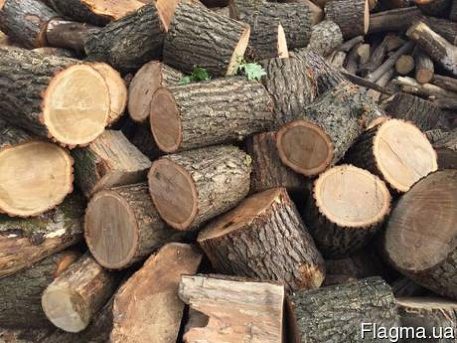 Продам дрова сухого дуба