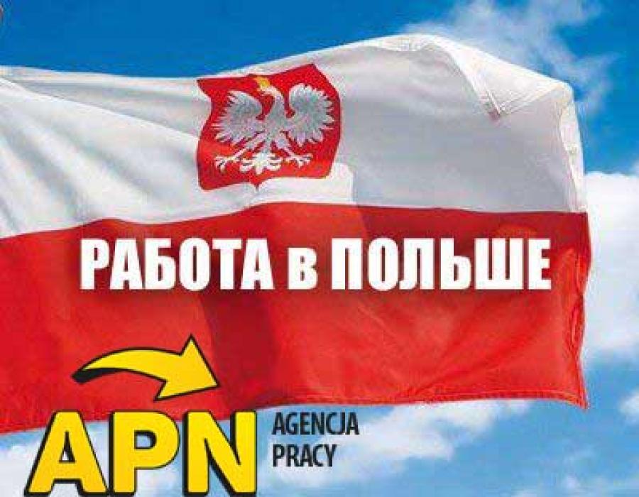 Работа поль. Работа в Польше. Картинки работа в Польше. Работа в Польше большие картинки. Польские объявления.