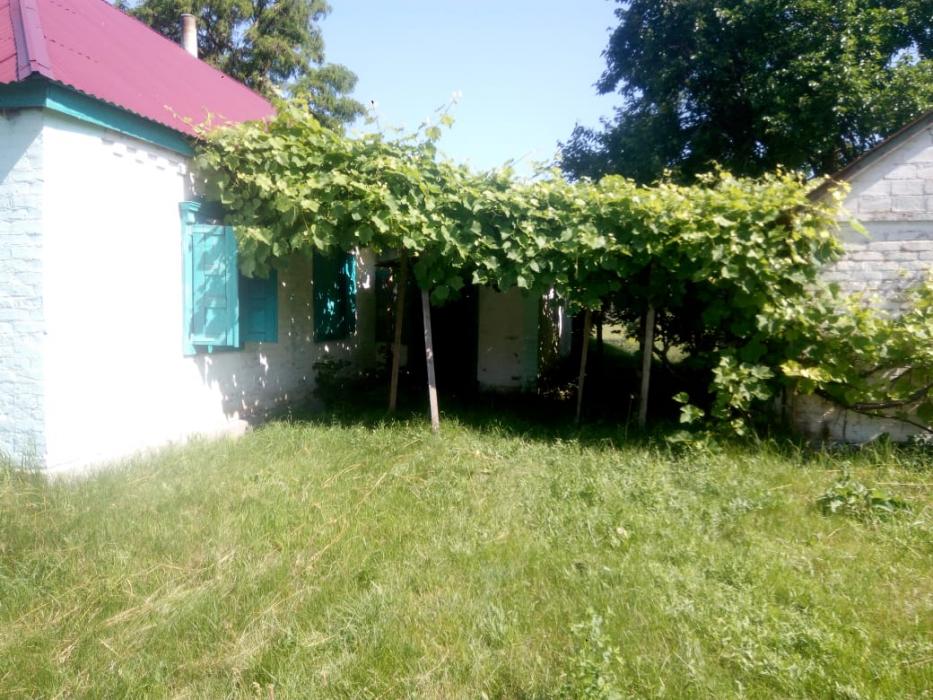 Продаж дом в деревне Остапье Великобагачанского района.