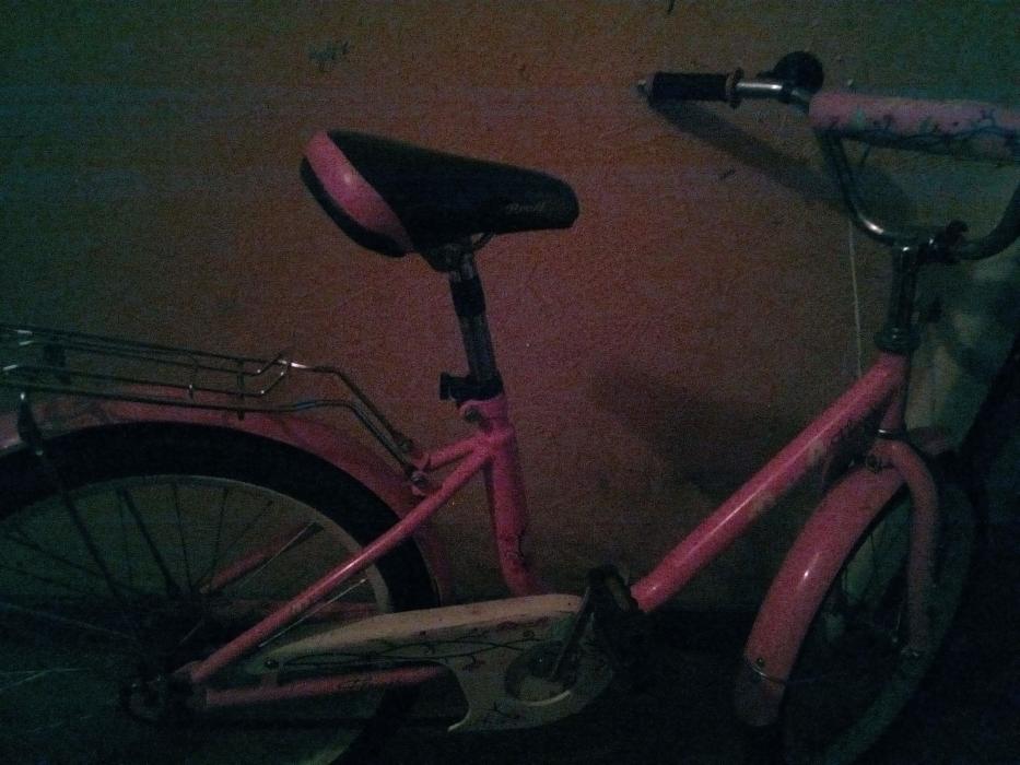 Велосипед детский Profi Flower 20 ' розовый для девочки