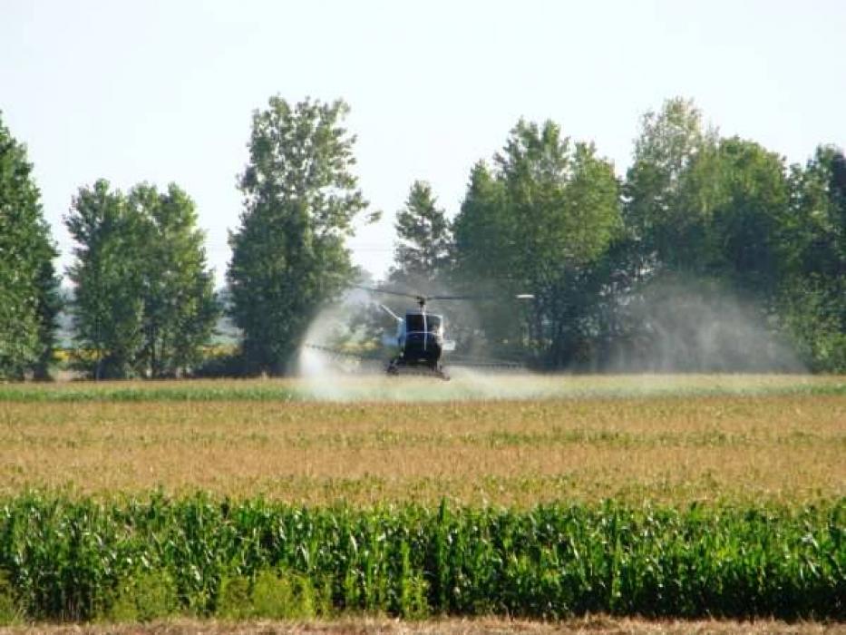 Опрыскивание кукурузы инсектицидом Кораген вертолетами
