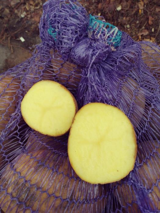 Картофель в сетках, доставка по Полтаве от 1 сетки (12.5 грн